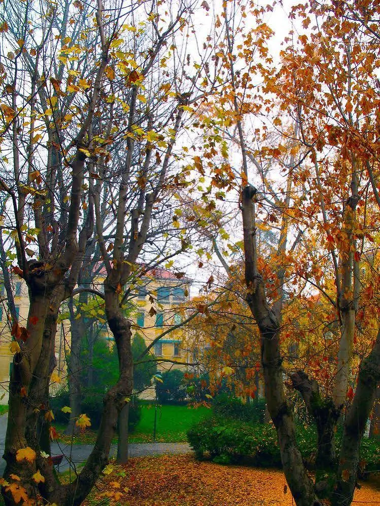 Residence Giardini Venice Apartment